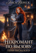 Обложка книги "Некромант по вызову: Тени прошлого"
