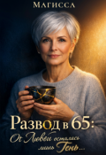 Обложка книги "Развод в 65: От Любви осталась лишь Тень..."
