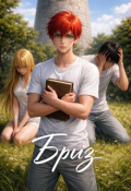 Обложка книги "Бриз"