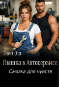 Обложка книги "Пышка в автосервисе"