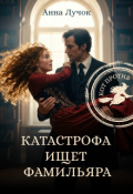 Обложка книги "Катастрофа ищет фамильяра. Кот против!"