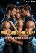 Обложка книги "Мой (не)идеальный мир. Неправильные мужья прилагаются"