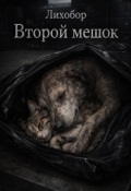 Обложка книги "Второй мешок"