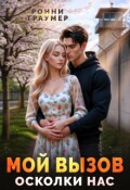 Обложка книги "Мой вызов. Осколки нас"