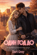 Обложка книги "Один год до"