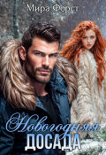 Обложка книги "Новогодняя досада"