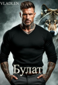 Обложка книги "Булат"