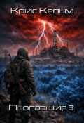 Обложка книги "Попавшие 3"