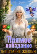 Обложка книги "Испытание жизнью.Часть 1 Прямое попадание"