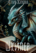 Обложка книги "Шкипер"