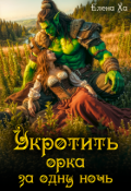Обложка книги "Укротить орка за одну ночь"