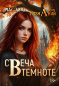Обложка книги "Свеча в темноте (академия Познаний - 5)"