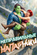 Обложка книги "Неправильные Напарники"