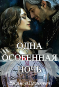 Обложка книги "Одна Особенная Ночь"