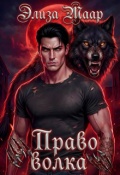 Обложка книги "Право волка"