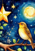 Обложка книги ""Звёздочка, которая боялась света""