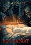 Обложка книги "Кот Бархат"