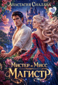 Обложка книги "Мистер и Мисс Магистр"