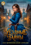 Обложка книги "Уездные тайны или провинциальный детектив"