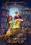 Обложка книги "Академия Зла. Испытание ведьмой"