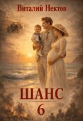 Обложка книги "Шанс книга 6"