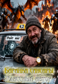 Обложка книги "Баранка Сансары: Порядок № 404"