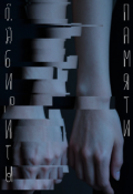 Обложка книги "Лабиринты памяти"