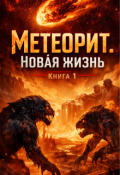 Обложка книги "Метеорит.Новая жизнь."