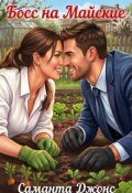 Обложка книги "Босс на майские"