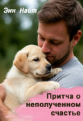 Обложка книги "Притча о неполученном счастье"