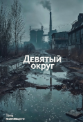 Обложка книги "Девятый округ"