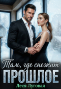 Обложка книги "Там, где снежит прошлое"