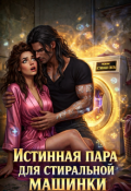 Обложка книги "Истинная пара для Стиральной машинки"