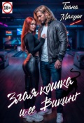 Обложка книги "Злая кошка и ее Викинг"