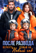 Обложка книги "После развода. Вернуть семью на Новый год"