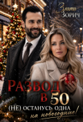 Обложка книги "Развод в 50. (не) останусь одна на новогодние!"