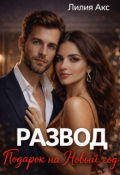Обложка книги "Развод. Подарок на Новый год"