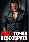 Обложка книги "Маг: Точка невозврата"