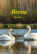 Обложка книги "Весна"