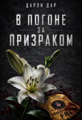 Обложка книги "В погоне за призраком"