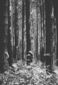 Обложка книги "Котелок варит к не добру  "