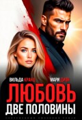 Обложка книги "Любовь. Две половины"