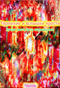 Обложка книги "Терпение и вспышки ярости. Лучше уметь быть нормальным"