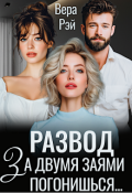 Обложка книги "Развод. За двумя Заями погонишься..."