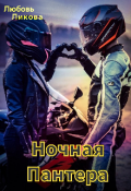 Обложка книги "Ночная Пантера "