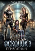 Обложка книги "Осколок. Привратный"