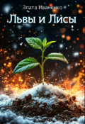 Обложка книги "Львы и Лисы"