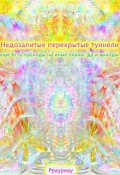 Обложка книги "Недозалитые перекрытые туннели"