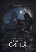 Обложка книги "В тени Сокрытого. Полночь Синея"