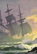 Обложка книги "Хирургия шторма"